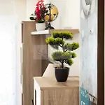 Apartment Cabrales By Silastur Gijon