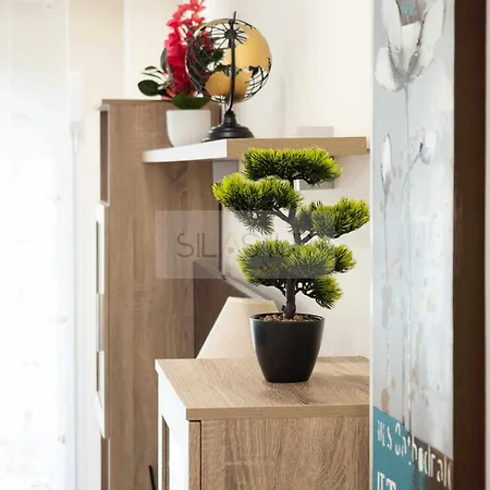 公寓 Cabrales By Silastur 希洪