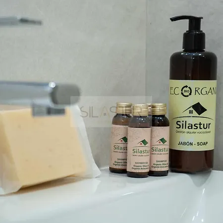 公寓 Cabrales By Silastur 希洪