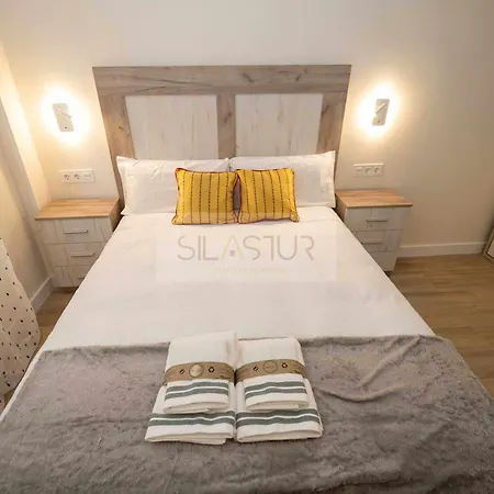 公寓 Cabrales By Silastur 希洪