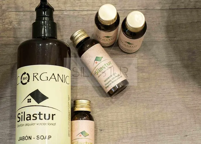 Apartamento Cabrales By Silastur *