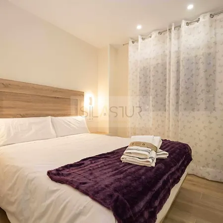 Apartamento Cabrales Gijón
